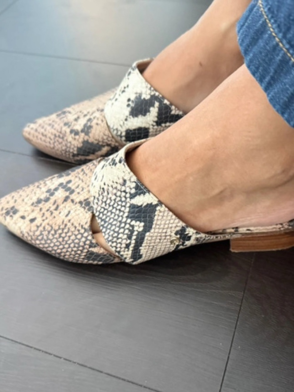 Snake Print Leather Mules Pointed Toe Size 6 Neutral Chic Flats